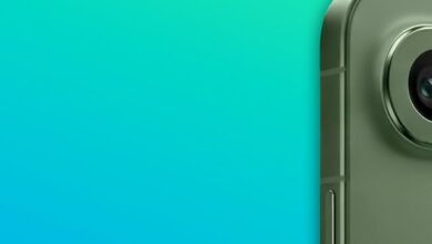 Vivo X300 FE Siapkan Hijau Eksklusif Untuk India, Strategi Warna Yang Tak Dipakai Varian Global