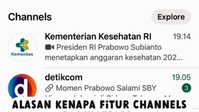 WhatsApp Ubah Cara Kerja Channel di iPhone, Admin Kini Bisa Balas Postingan Sendiri Tanpa Hapus Unggahan Lama